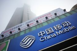 （3分钟科普下）大理白族自治州中药_哔哩哔哩-2
